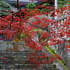 １１月も終わりだ。