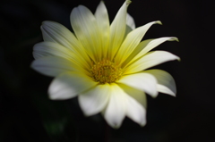 IMGP9555
