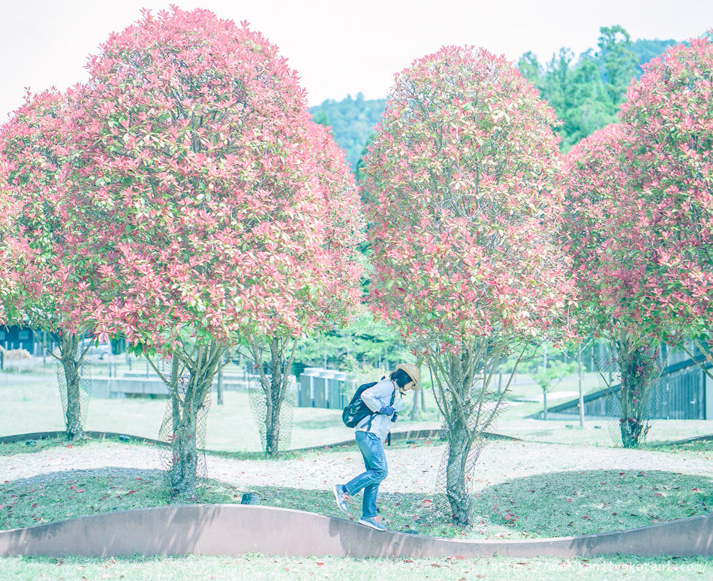 室生山上公園＠奈良県