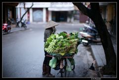 Hanoi streetshot LeicaME_Noctilux50/0.95