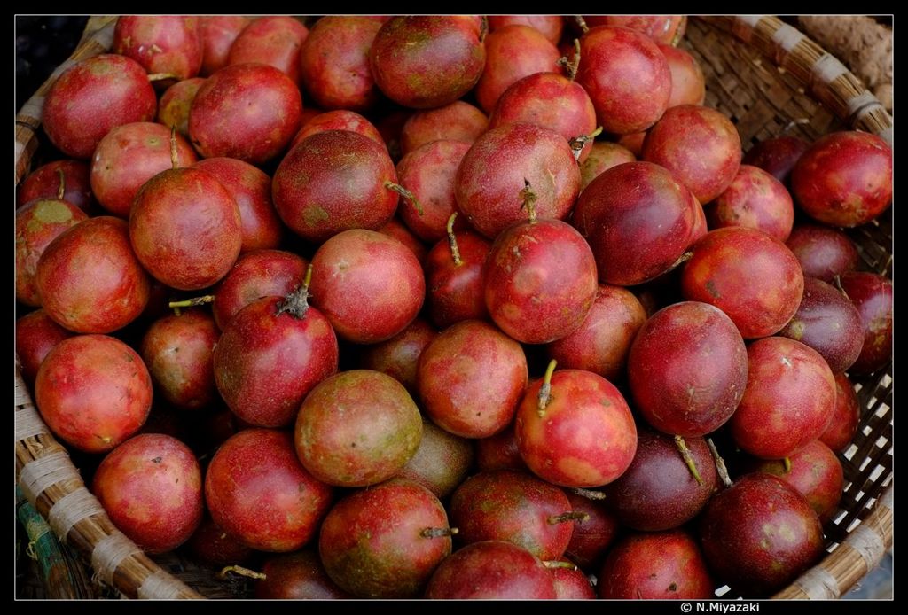 ハノイ ストリートショット hanoi street shot