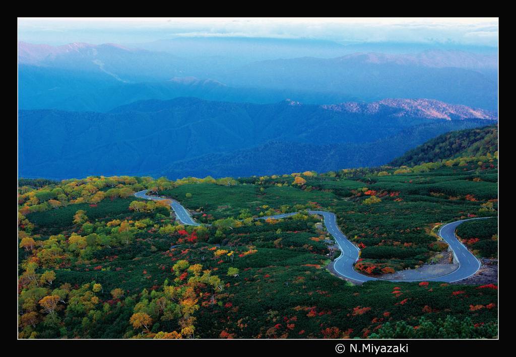 秋の色　Fall colors