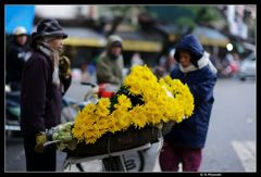 Hanoi streetshot LeicaME_Noctilux50/0.95