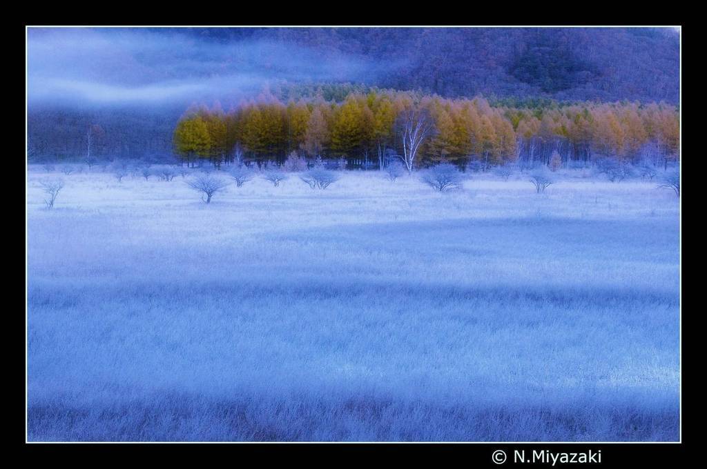 秋の色　Fall colors