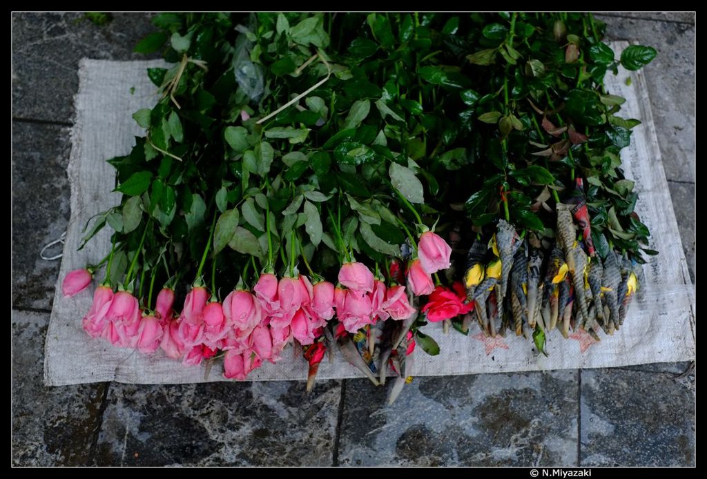 ハノイ　ストリートショット Hanoi street shot