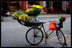 ハノイ ストリートショット hanoi street shot 