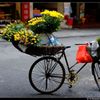 ハノイ ストリートショット hanoi street shot 