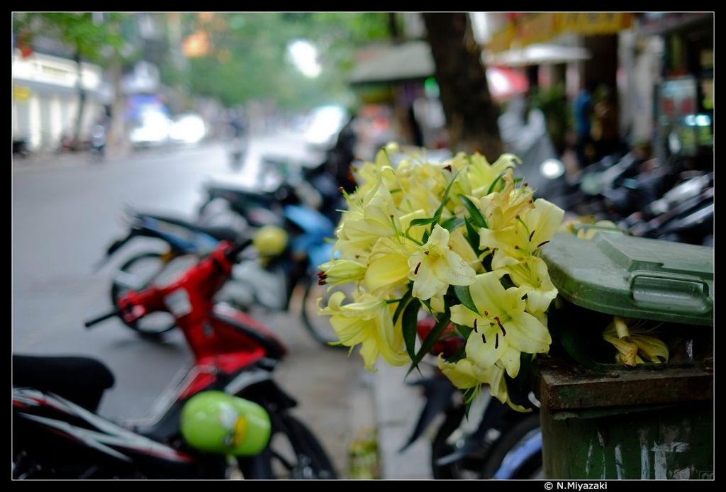 ハノイ ストリートショット hanoi street shot