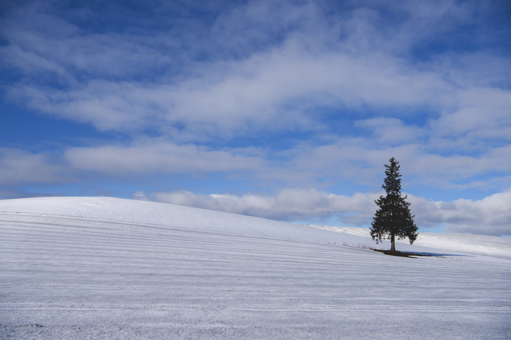 Stripes on the snowy hill