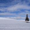 Stripes on the snowy hill