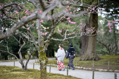 春色を探しに・・・