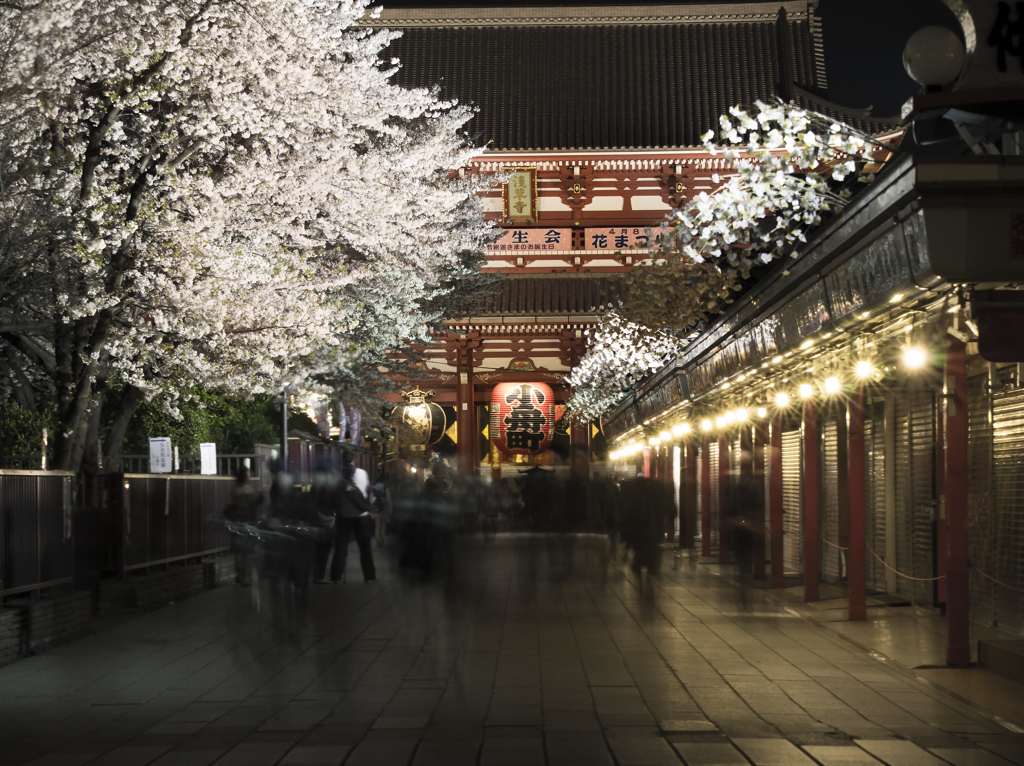 花見に向かう人々