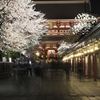花見に向かう人々