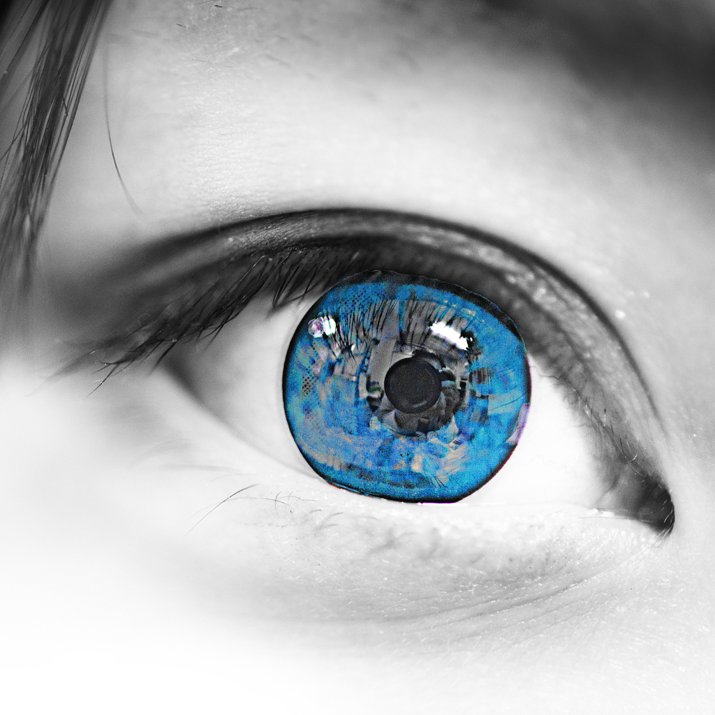 CAMERA EYE