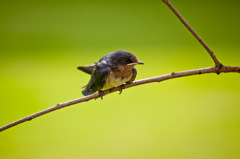 Return to Nature？-Take a break