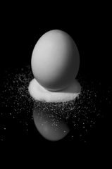 EGG