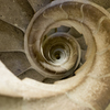 Ammonite