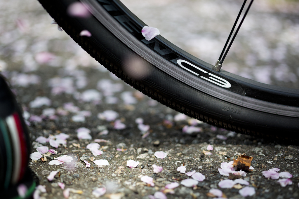 桜舞い散る道の上で