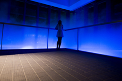 ILLUSION IN BLUE