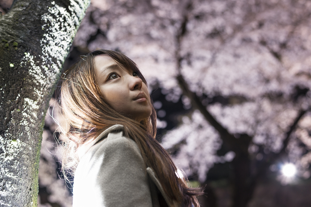 夜桜お七