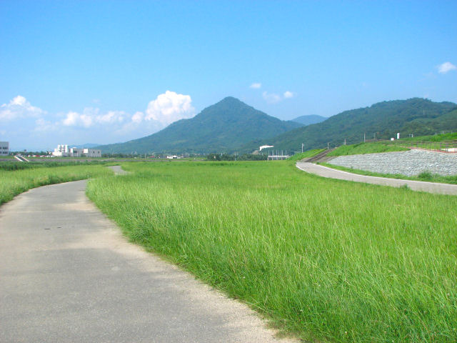 草っぱら