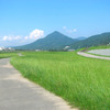 草っぱら
