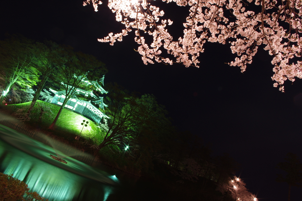 桜と城と