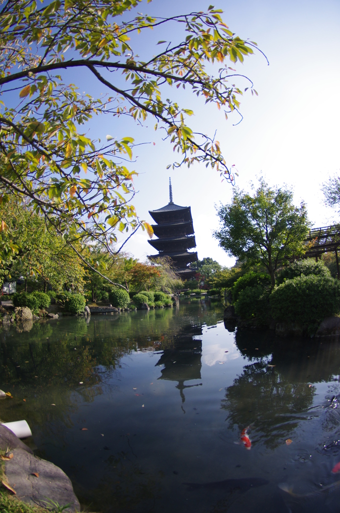 京都行ってきた＠東寺