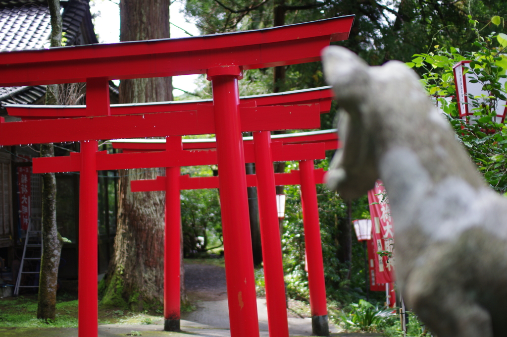 花いろ聖地