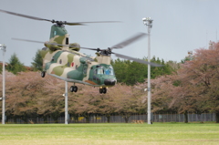 さくら祭行ってきた3