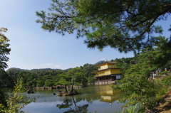 京都行ってきた＠金閣寺