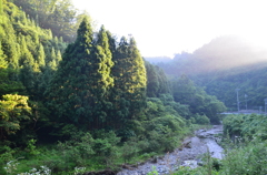 Good Morning, Miyama