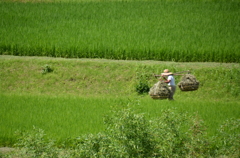 過疎―営み