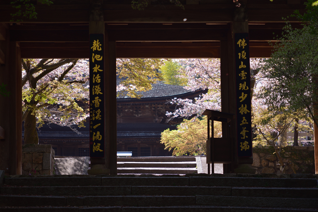 山門越しの春