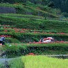 残したい風景