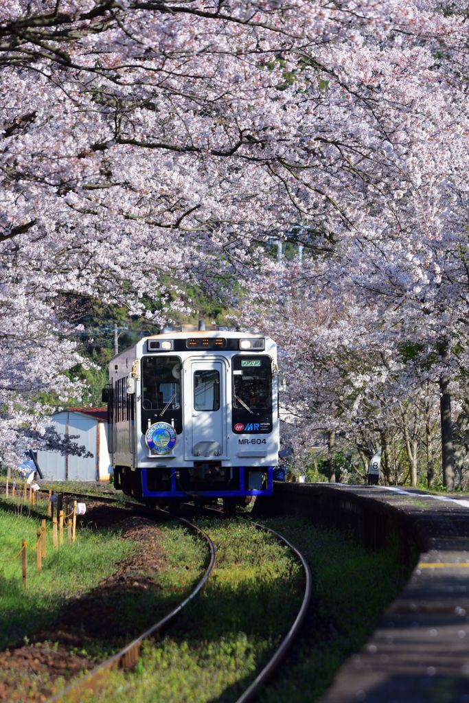 春列車