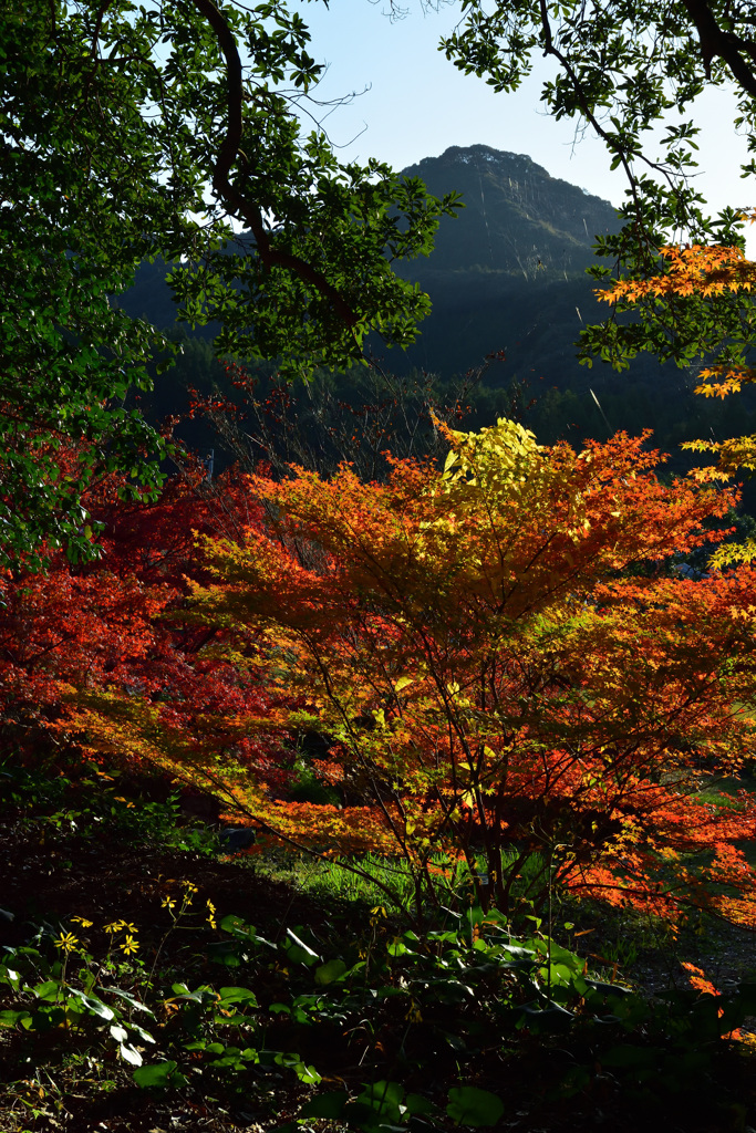 名も知らぬ山と