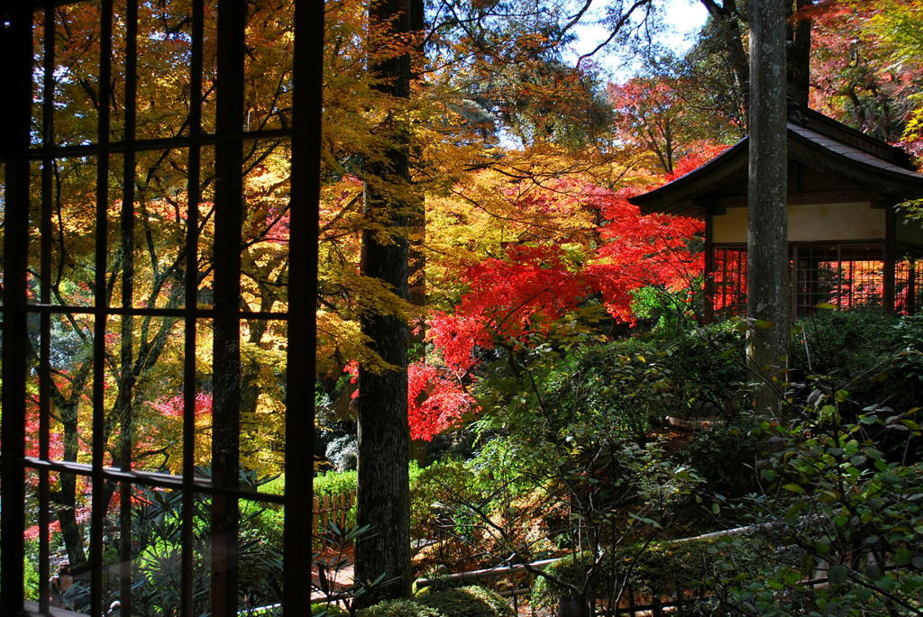 大興善寺の紅葉（６）