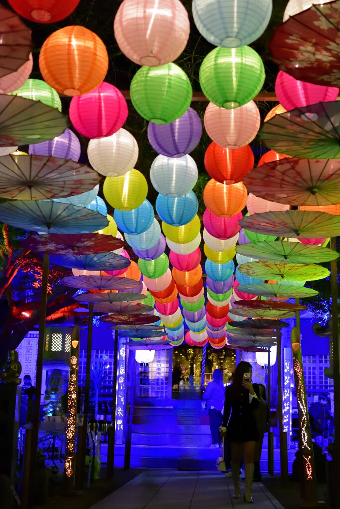 本堂へ続くランタン