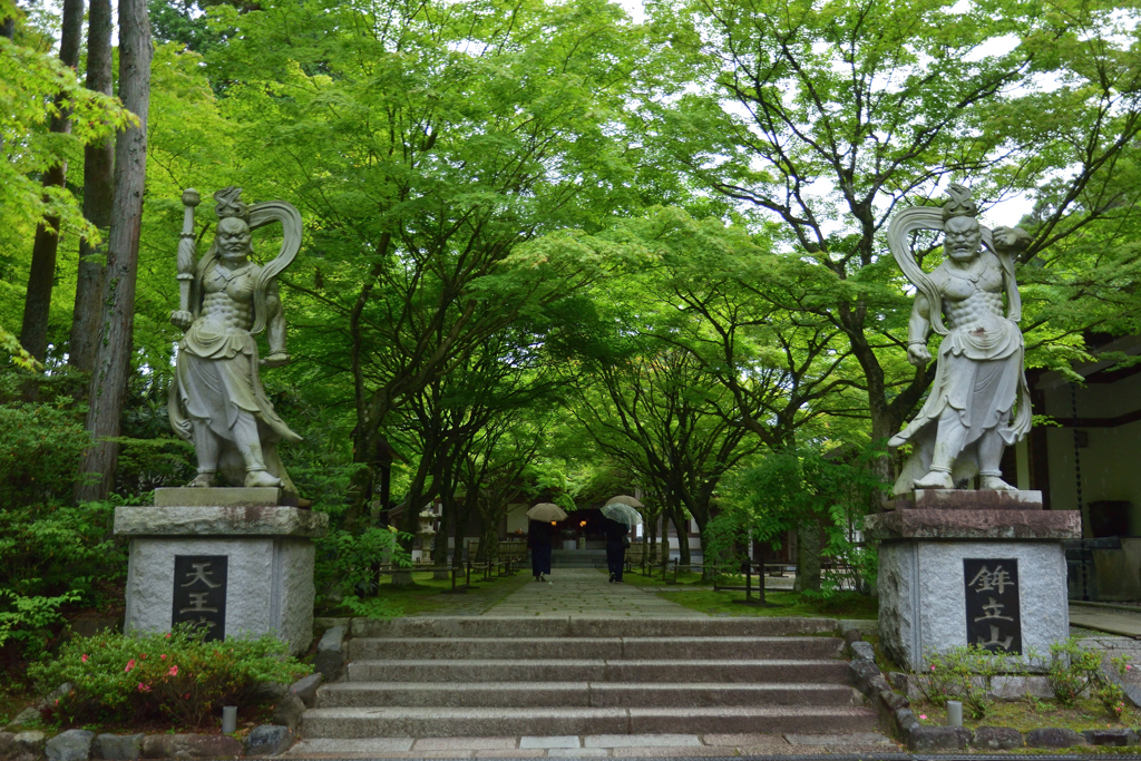 雨の参道