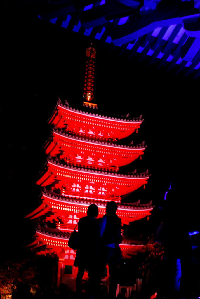 二人の夜