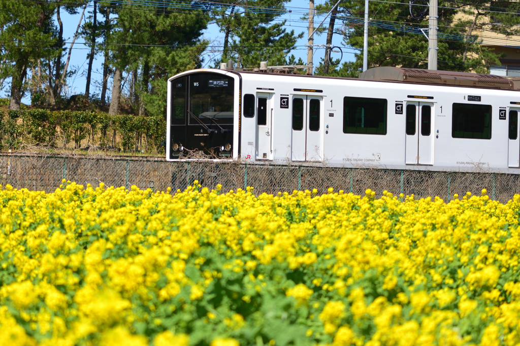 電車から見てみたい