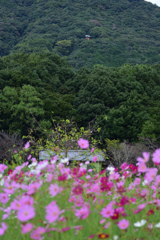 山の中に神社