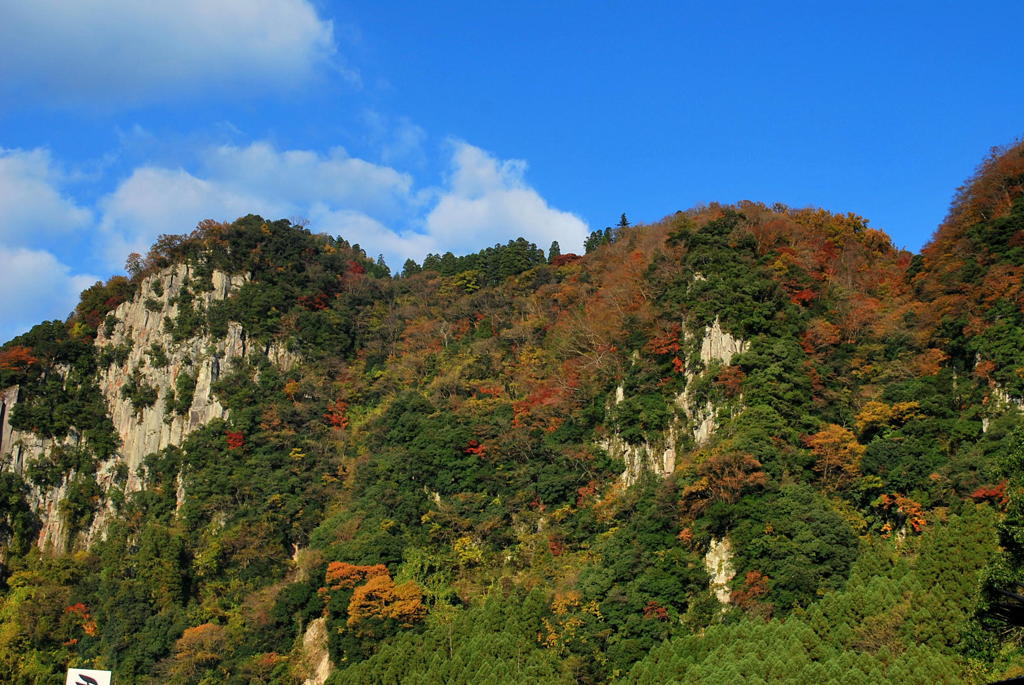 岩肌の紅葉もいいかな