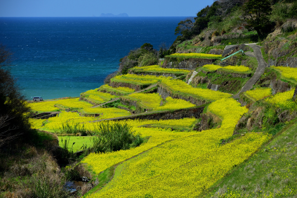 気付かなかった島