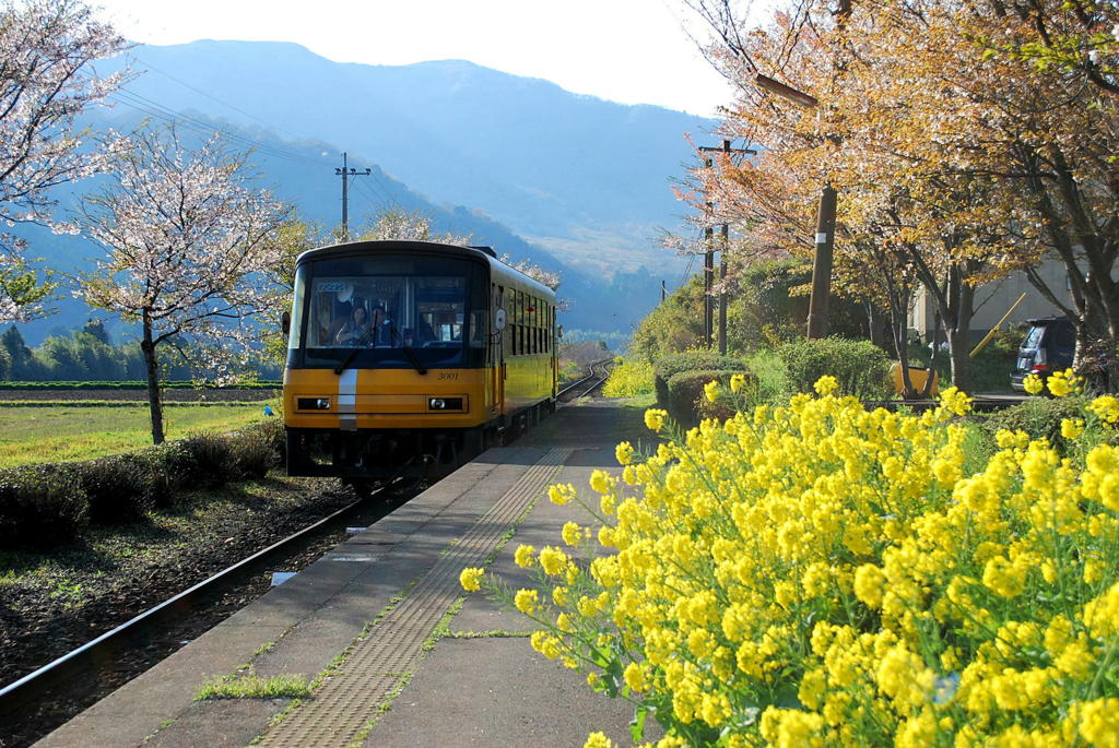 のんびり南阿蘇鉄道