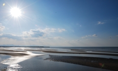 遠浅の海