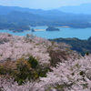 春の静かな海