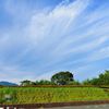 秋の空に赤いライン