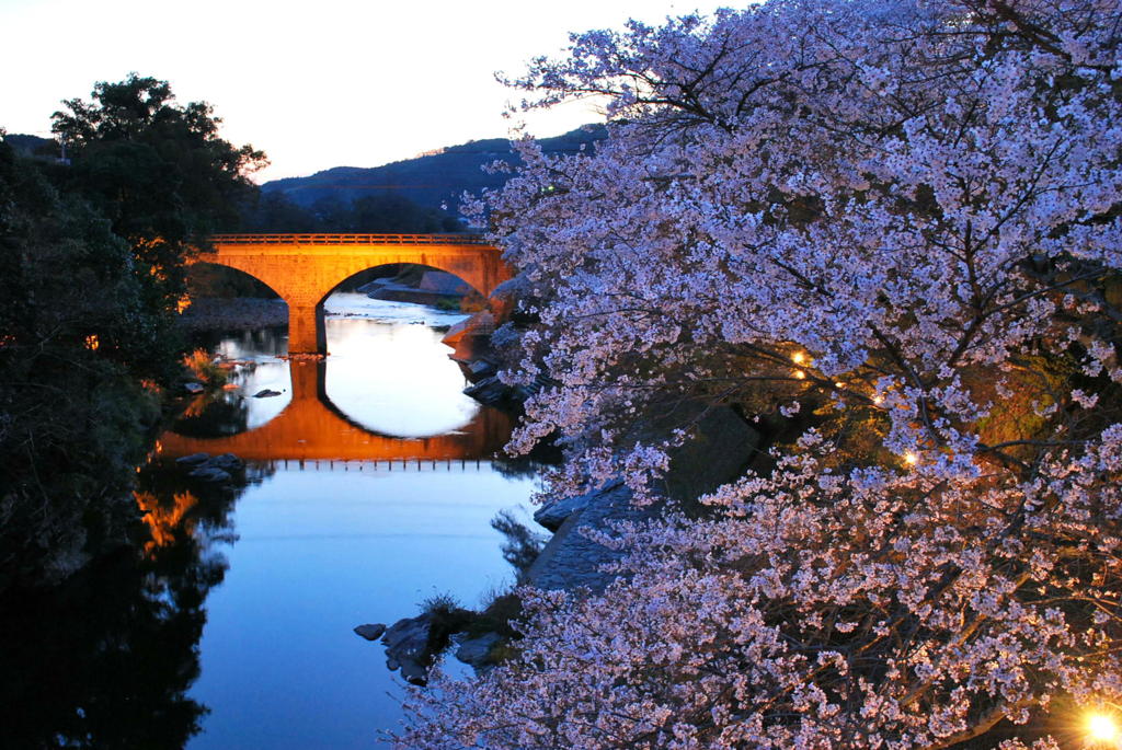 眼鏡橋と桜のライトアップ